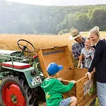 An Webers Stoag * Geisingen