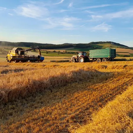 Hébergement de vacances An Webers Stoag Geisingen