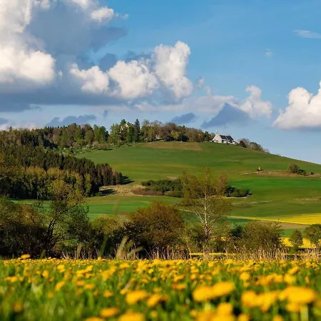 An Webers Stoag Geisingen