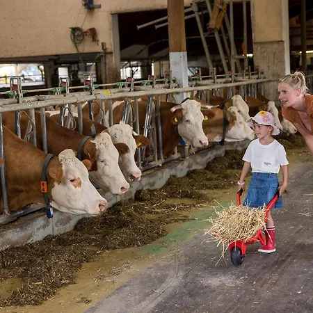 An Webers Stoag * Geisingen