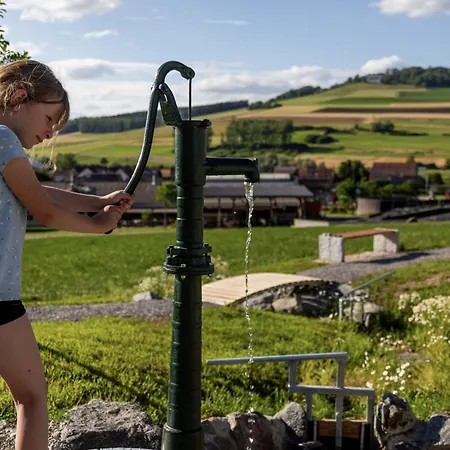 An Webers Stoag Geisingen