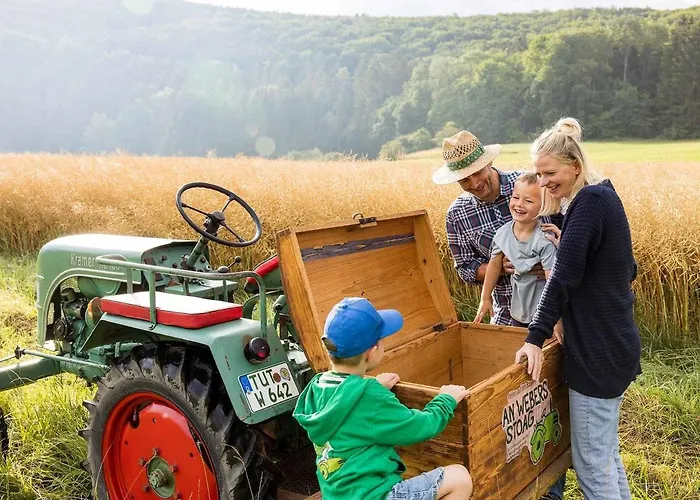 An Webers Stoag * Geisingen