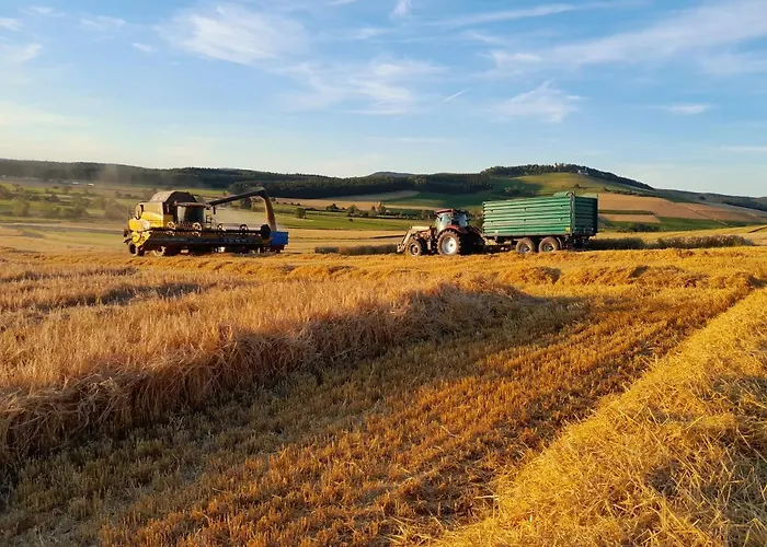 Tatil Evi An Webers Stoag Geisingen